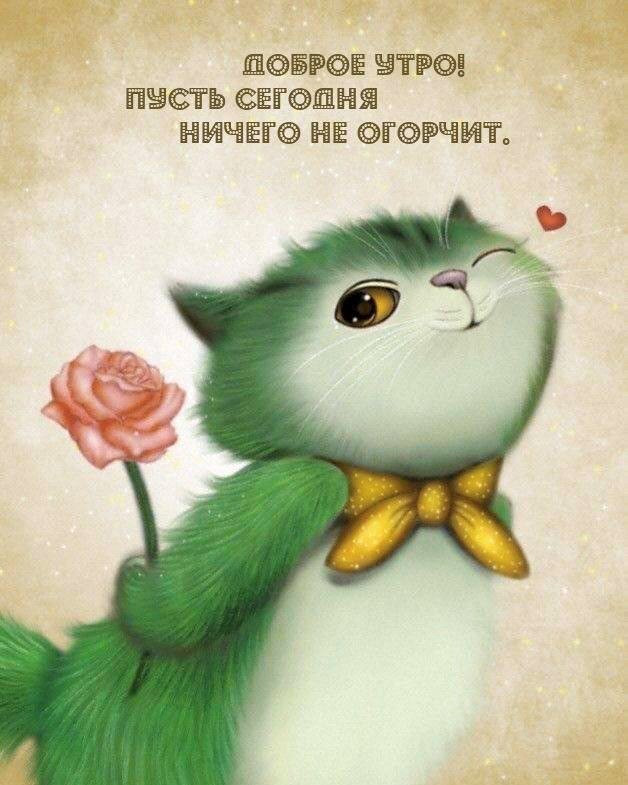 Зеленый кот с цветком