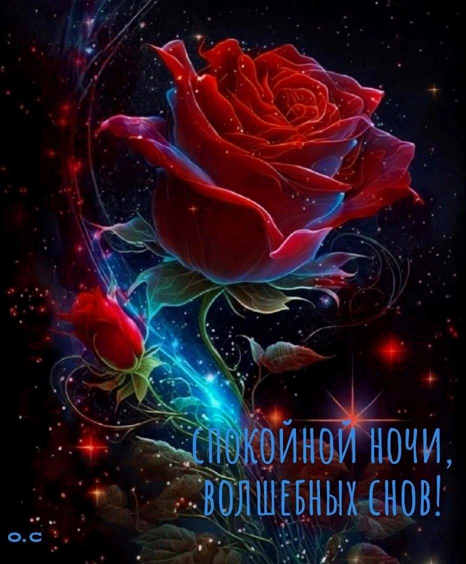 Открытка волшебных снов с розой красная роза