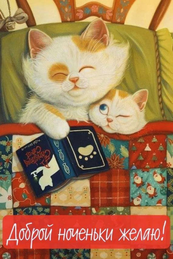 Открытка доброй ночи с котиками Кошка с котенком под одеялом