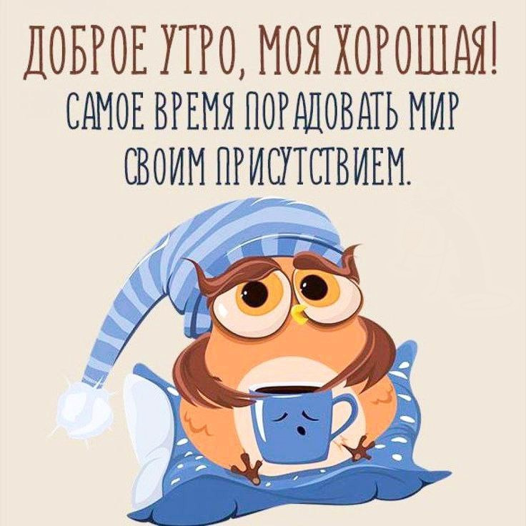 Сова