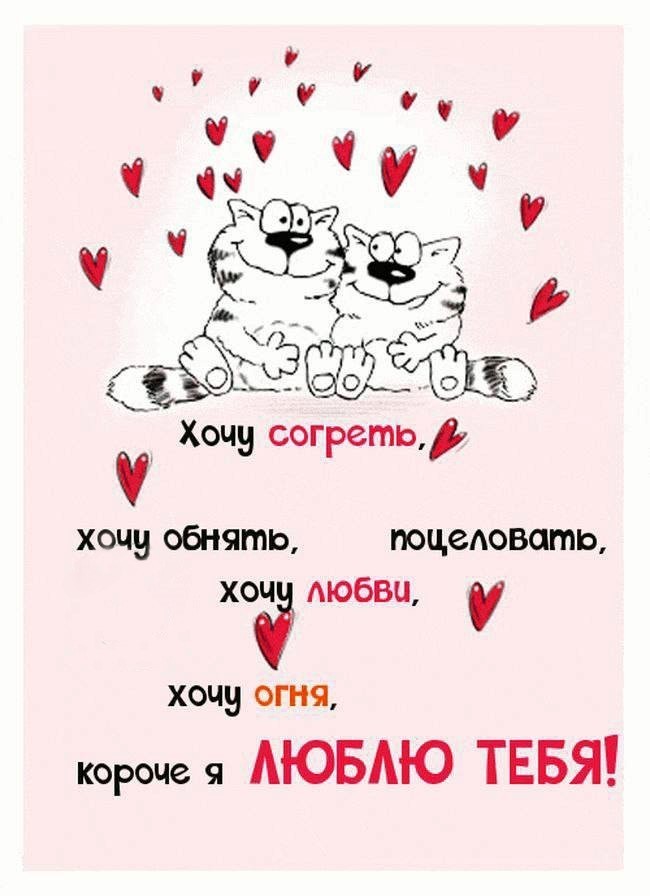 Открытка с котиками люблю тебя