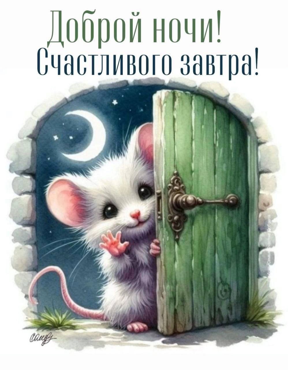 Мышонок доброй ночи