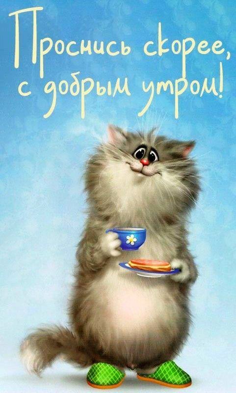Кот с кофе в тапках доброе утро
