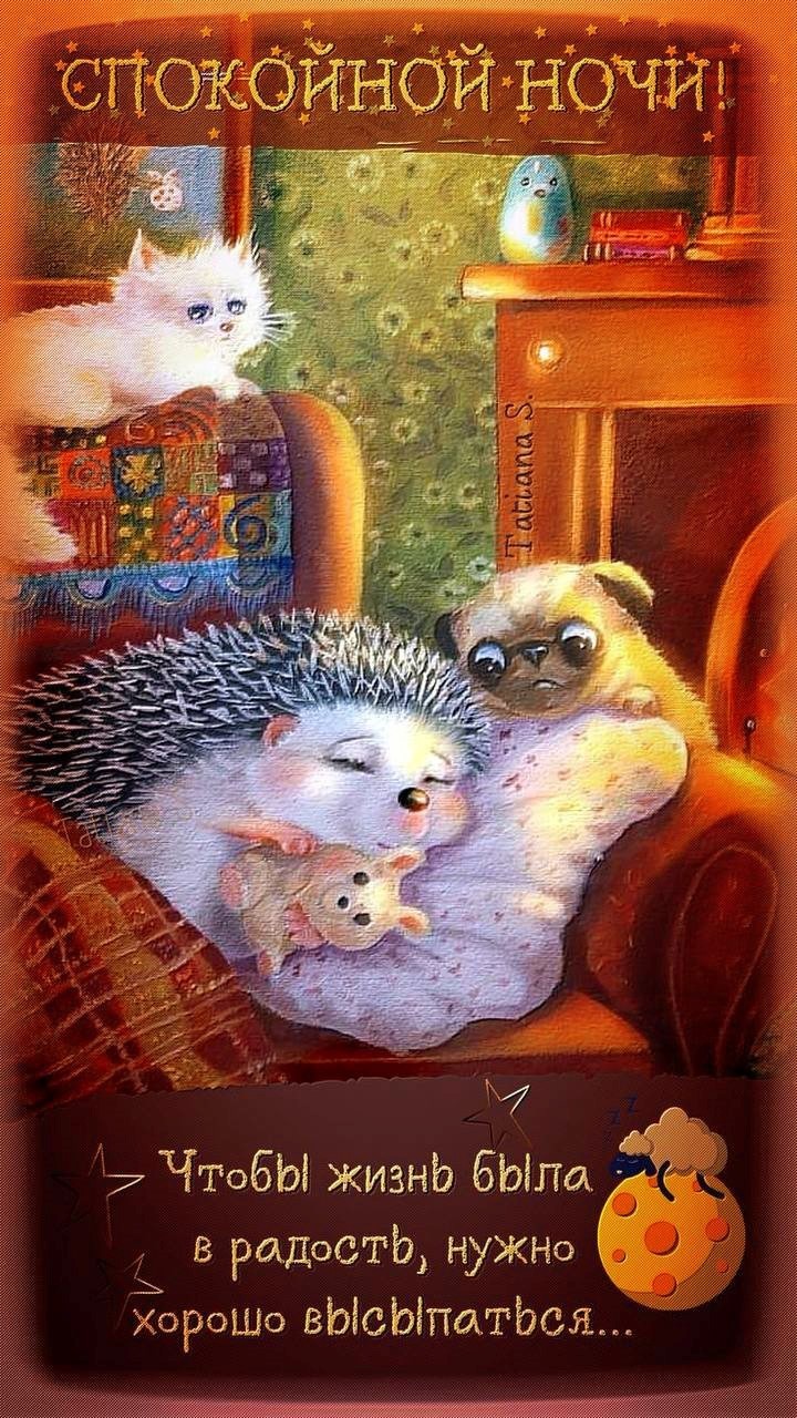 коты и ежи желают доброй ночи