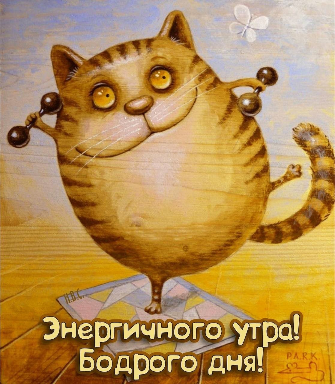 Кот делает зарядку