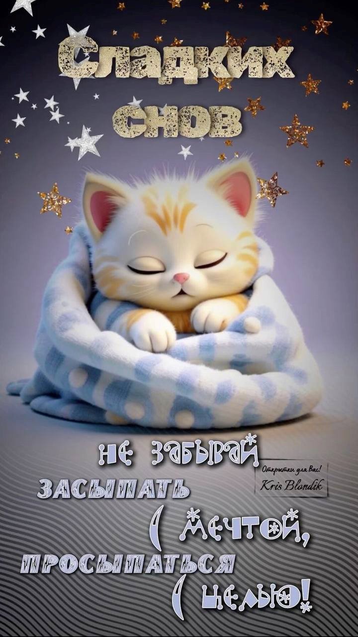 Котик спит