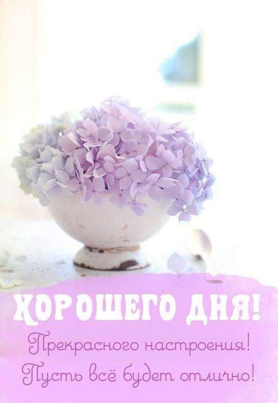 Букет нежных цветов
