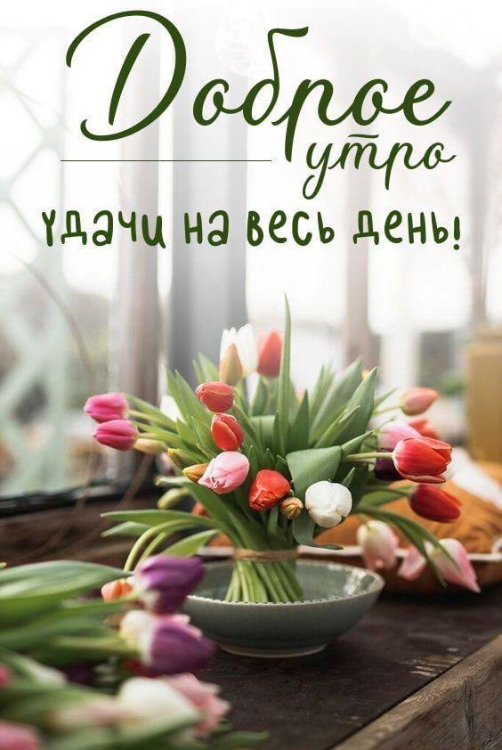 Открытка доброе утро с тюльпанами Букет разноцветных тюльпанов на открытке