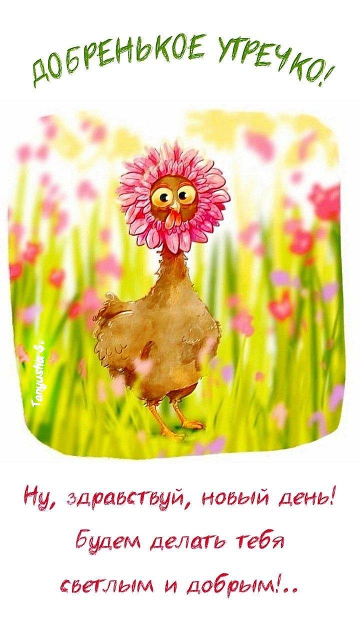 Курочка на открытке