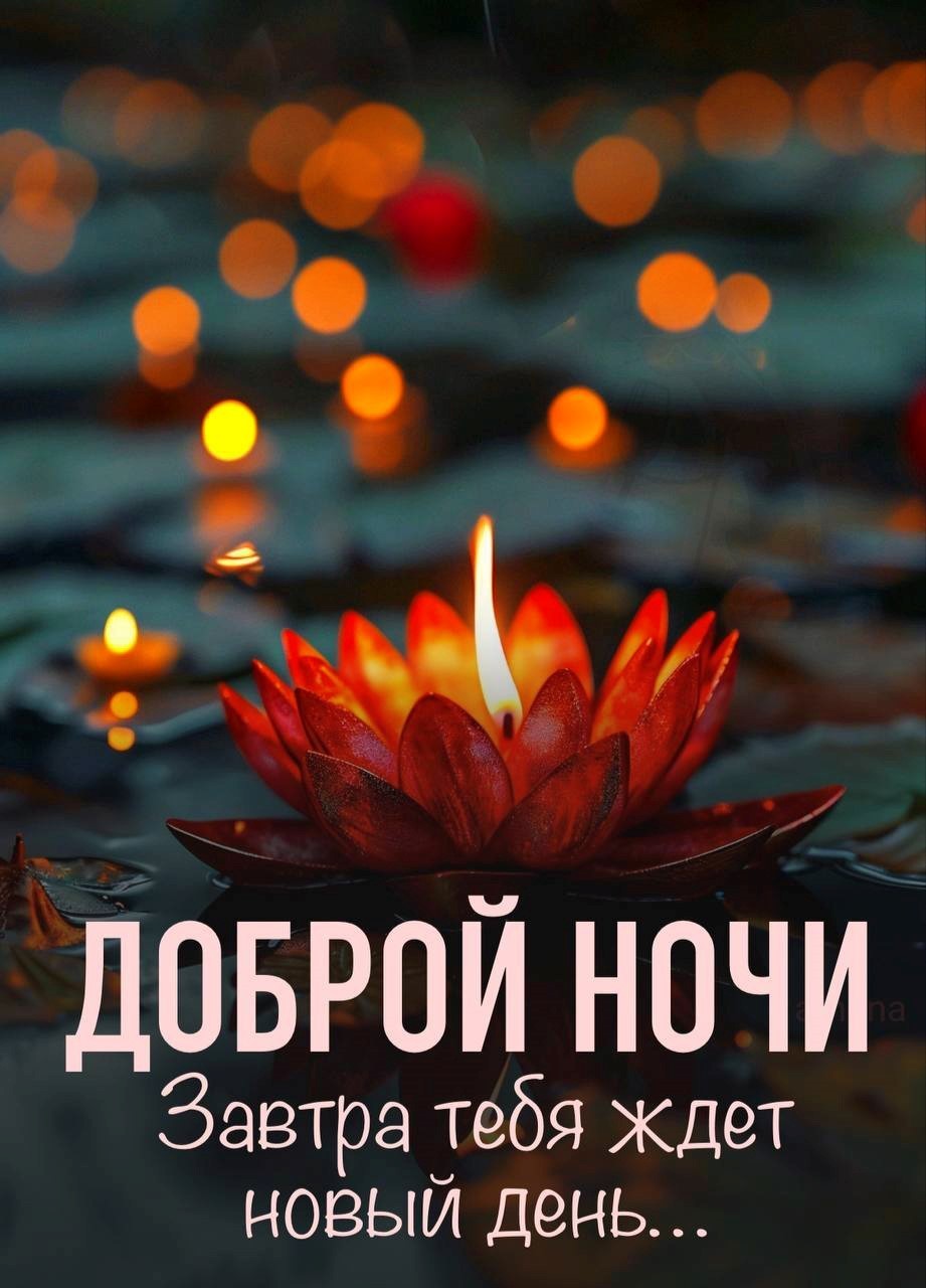 Кувшинки со свечкой доброй ночи