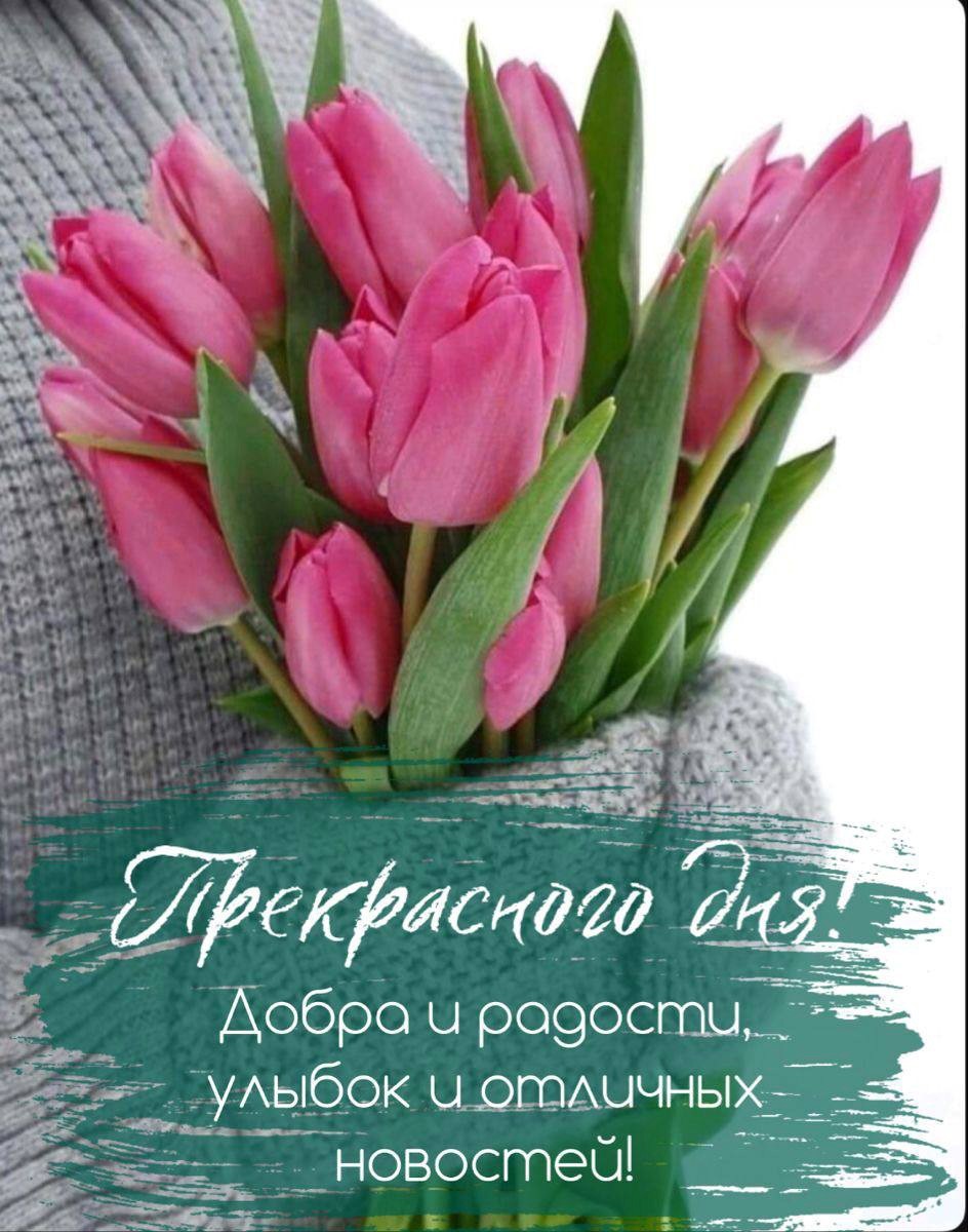 Открытка прекрасного дня с цветами Тюльпаны с пожеланием хорошего дня