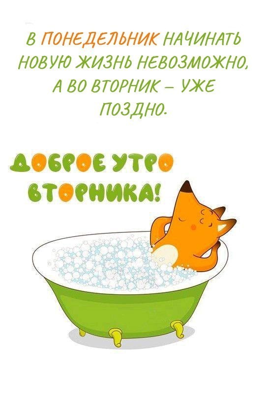 лиса в ванной