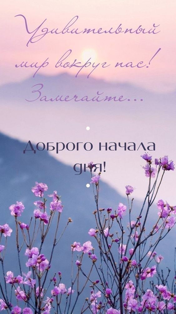Цветы в горах