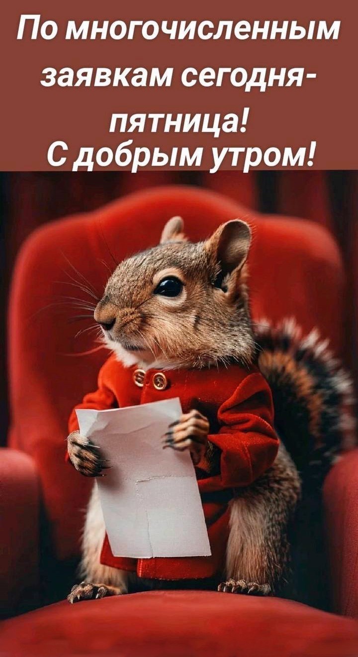 Открытка с добрым утром с белкой белка на открытке