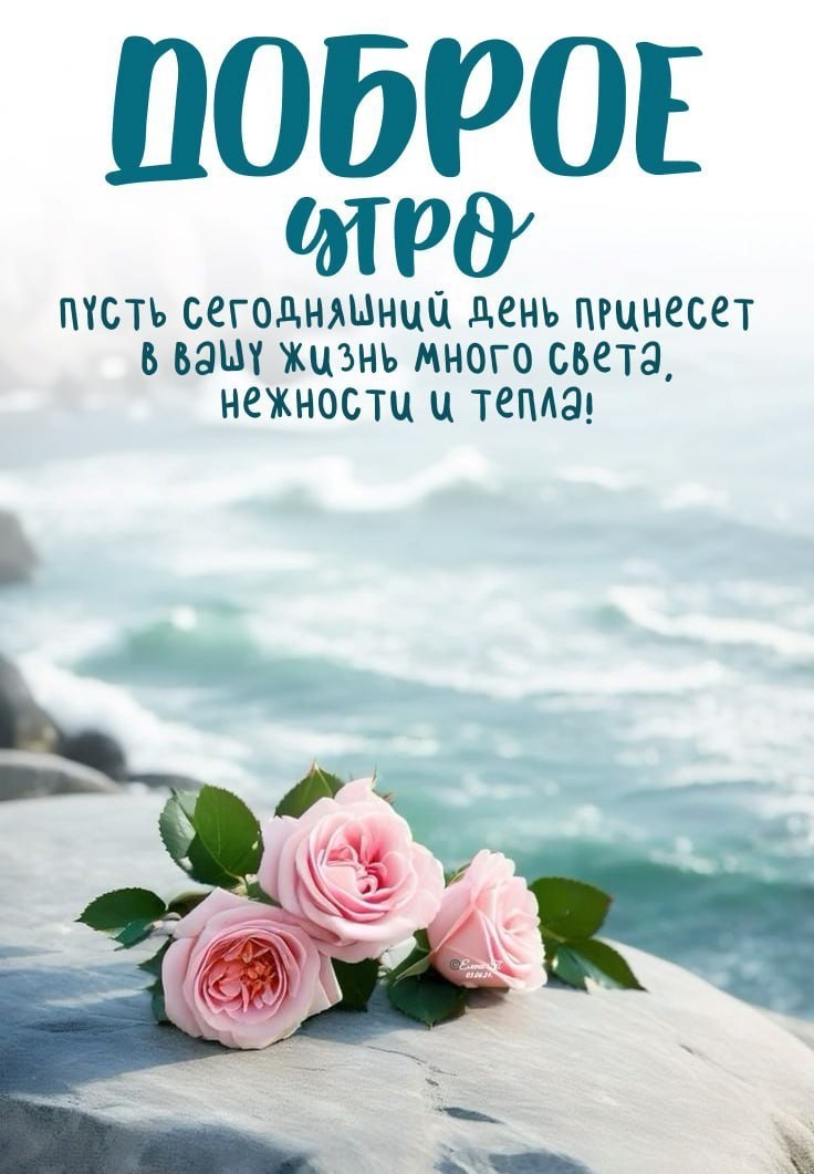 Розы на берегу утреннего моря