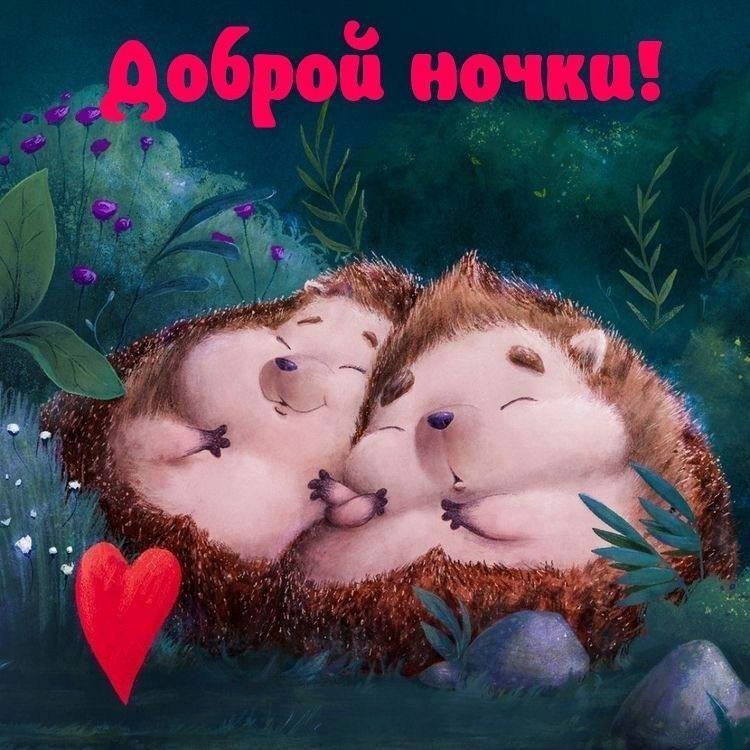 Спящие ежики с сердечком на открытке