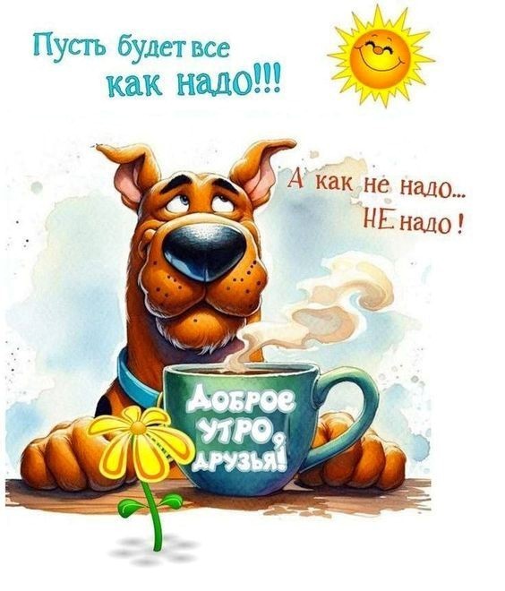 Доброе утро с собакой