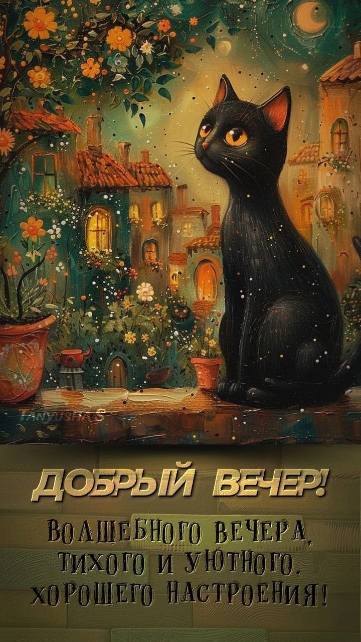 Открытка добрый вечер с котом Черная кошка с добрым вечером