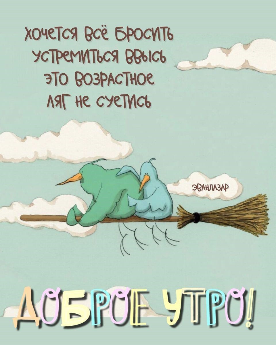 Птицы на метле желают доброго утра