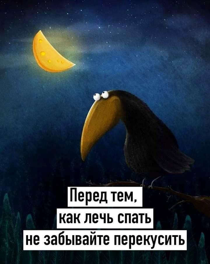 Ворона смотрит на месяц в небе