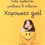 Хомяк в кружке со смайликом