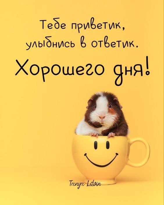 Хомяк в кружке со смайликом