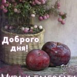 Яблоки
