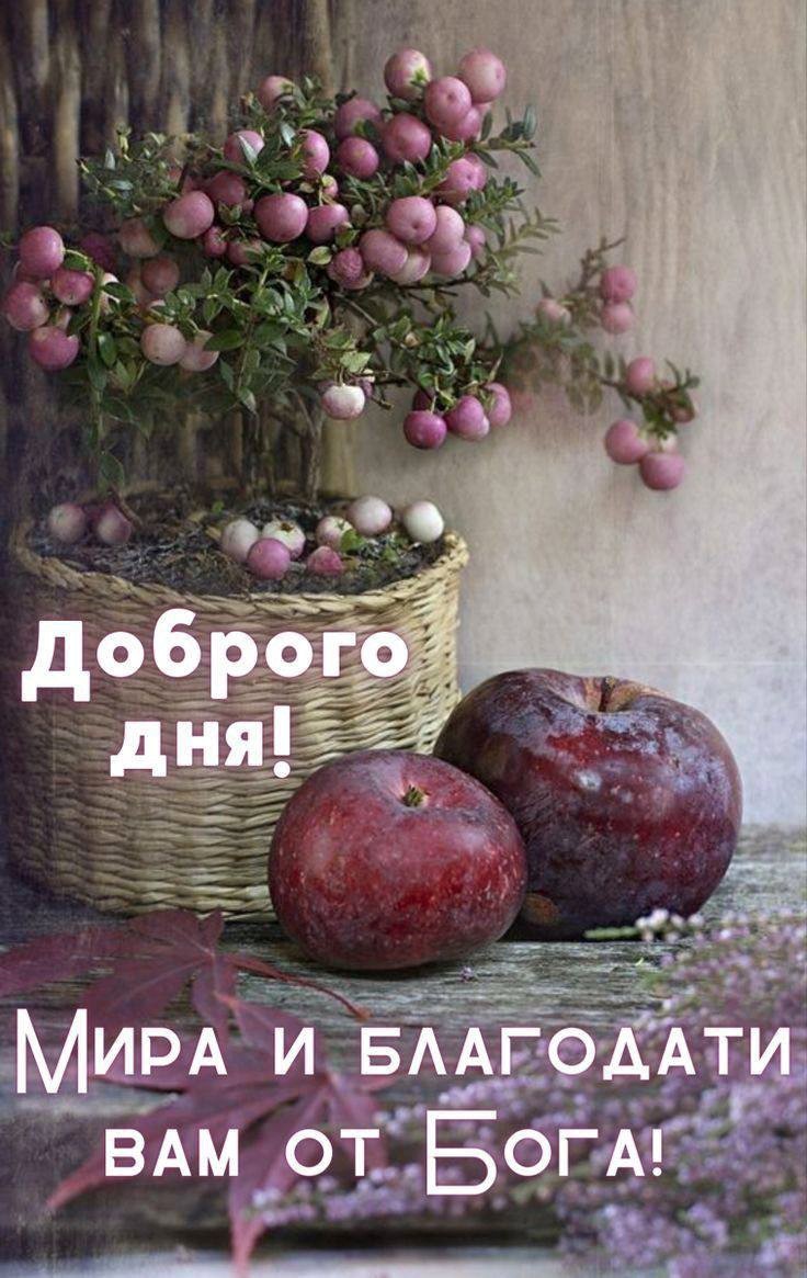Открытка с яблоками доброго дня Яблоки