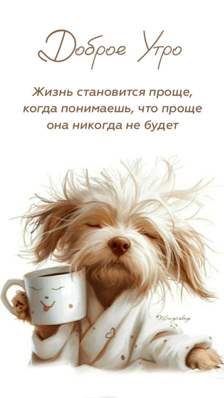 Собачка с чашкой кофе