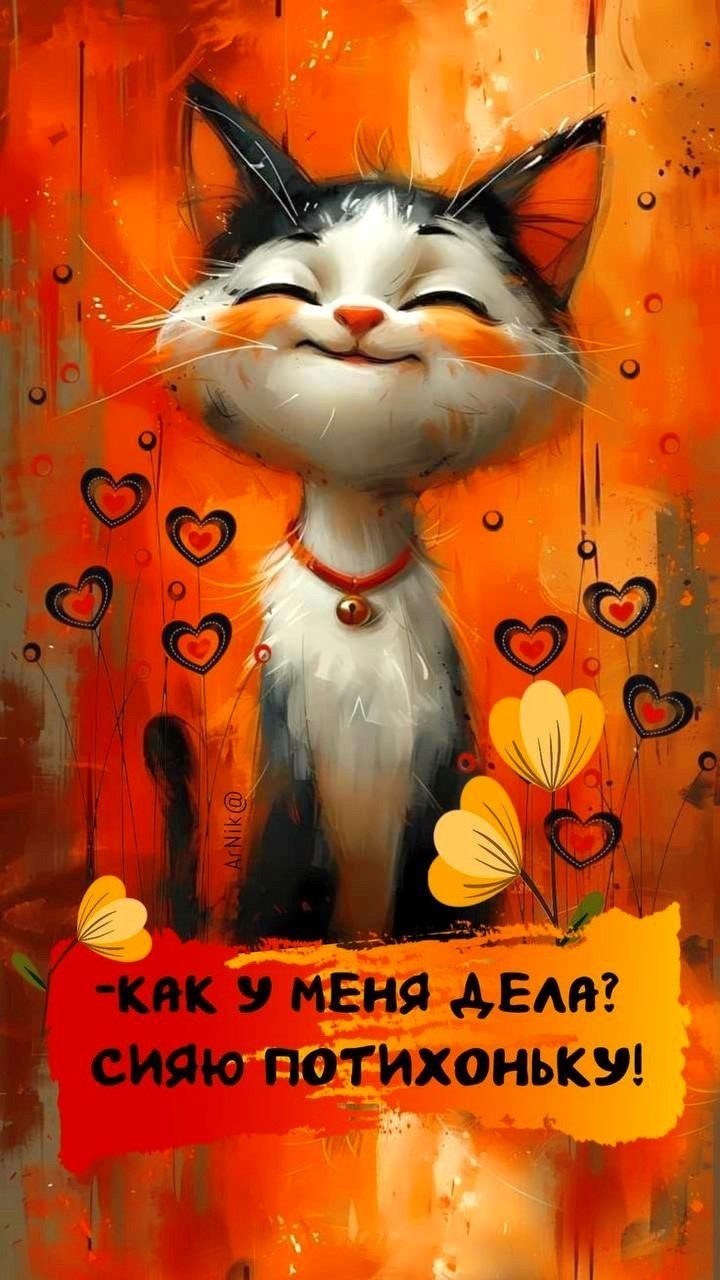 Довольный кот на картинке как дела