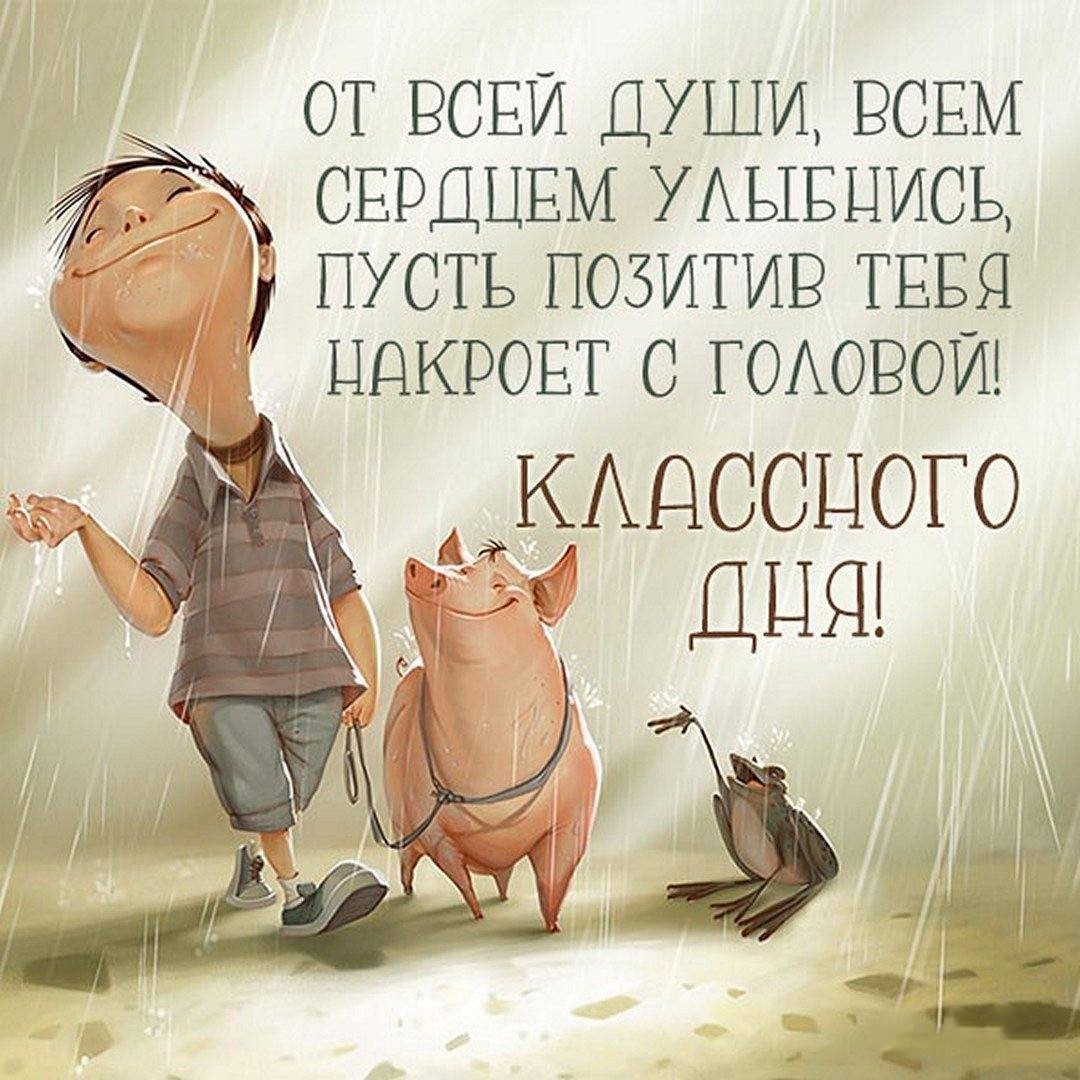 Парень, свинья и жаба