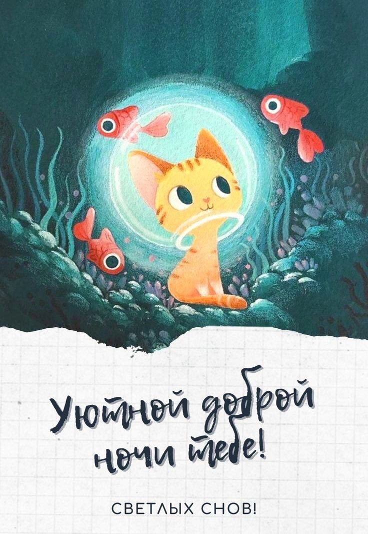 Котик под водой с рыбками