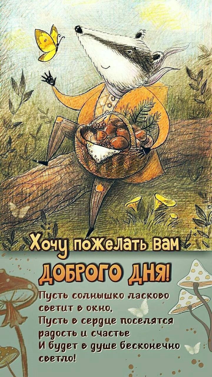 Открытка с барсуком доброго дня Барсук в лесу собирает грибы в корзину