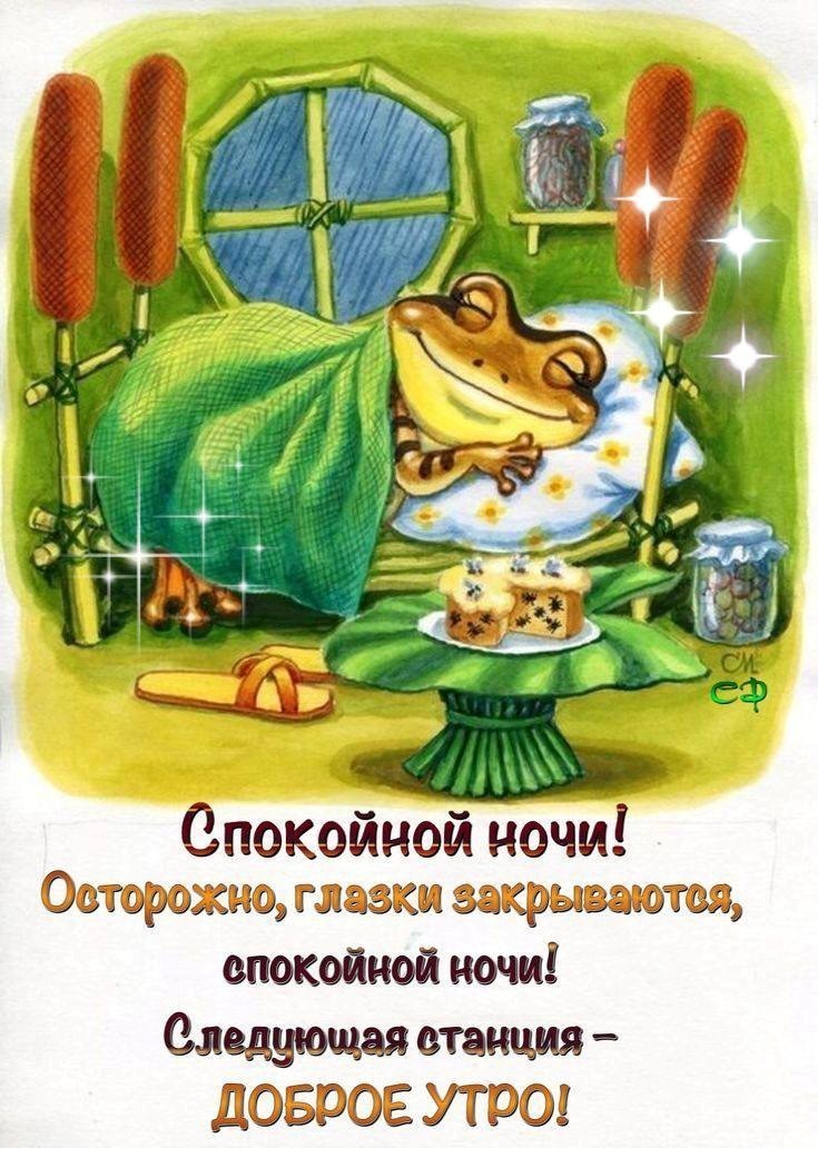 Лягушка мило отдыхает в кровати