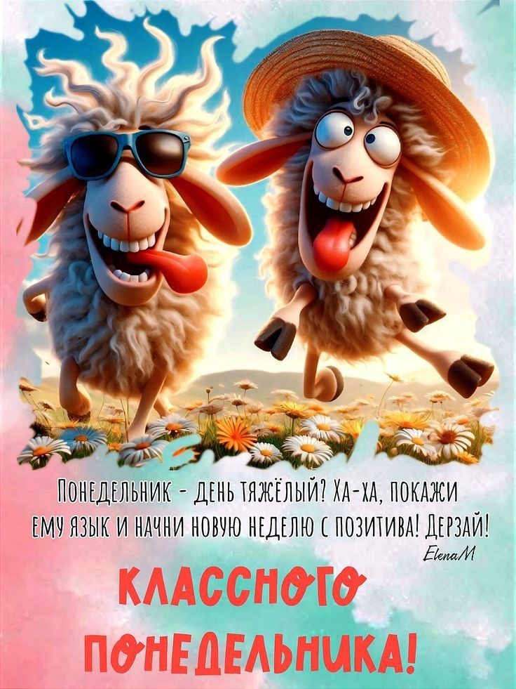 Открытка про понедельник с овцами Прикольные бараны в шляпе