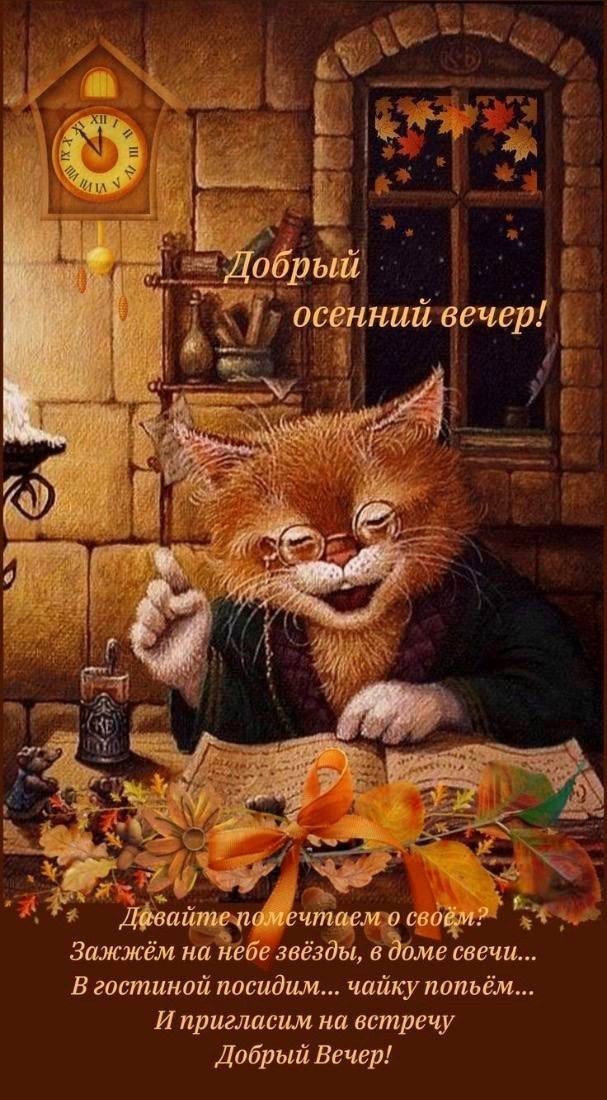 Открытка с котом добрый осенний вечер Рыжий кот в очках