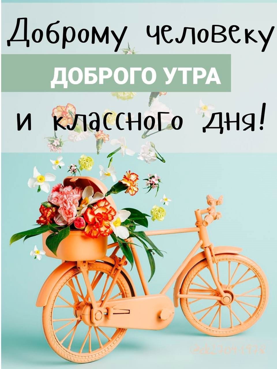 Велосипед с цветами на открытке