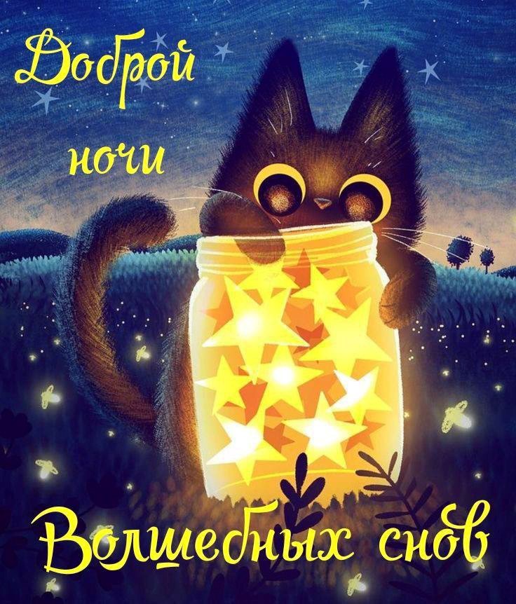 Кот с баночкой звезд