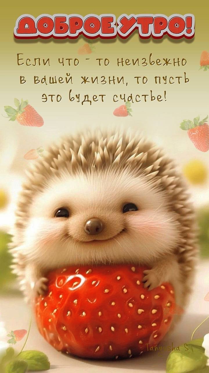Открытка с ёжиком доброе утро Ежик с сердцем