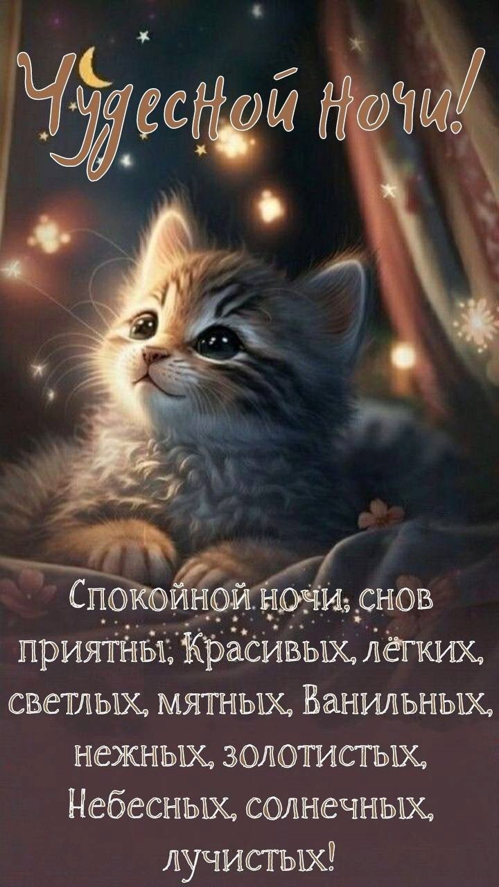 Котенок