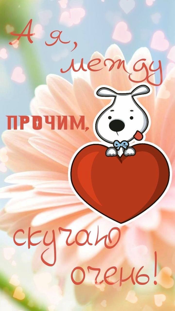 Открытка с собачкой скучаю Собачка на сердце