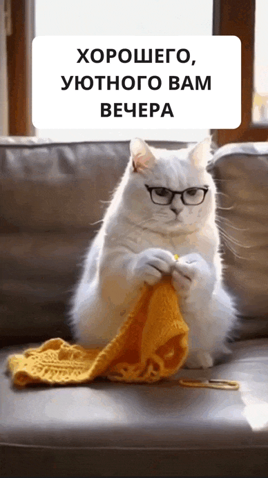 Вяжущие котики