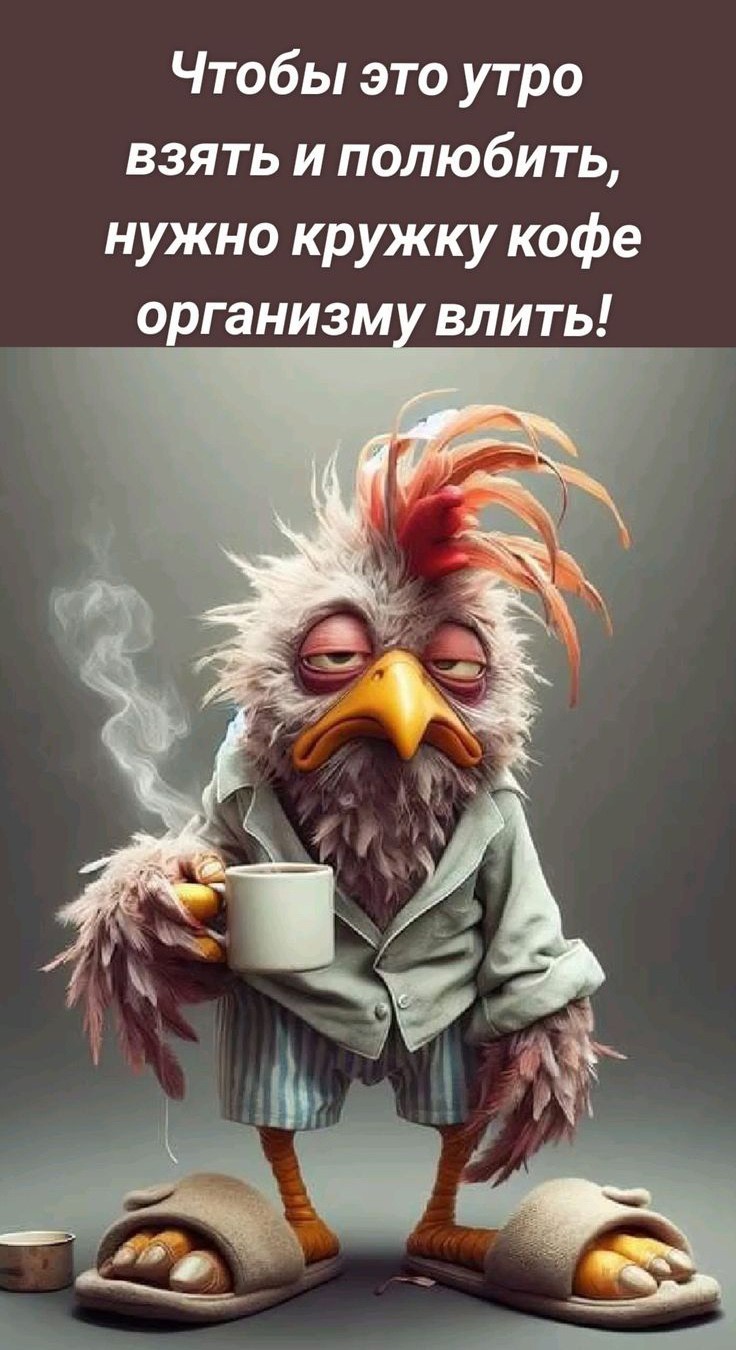 Сонный петух с кофе