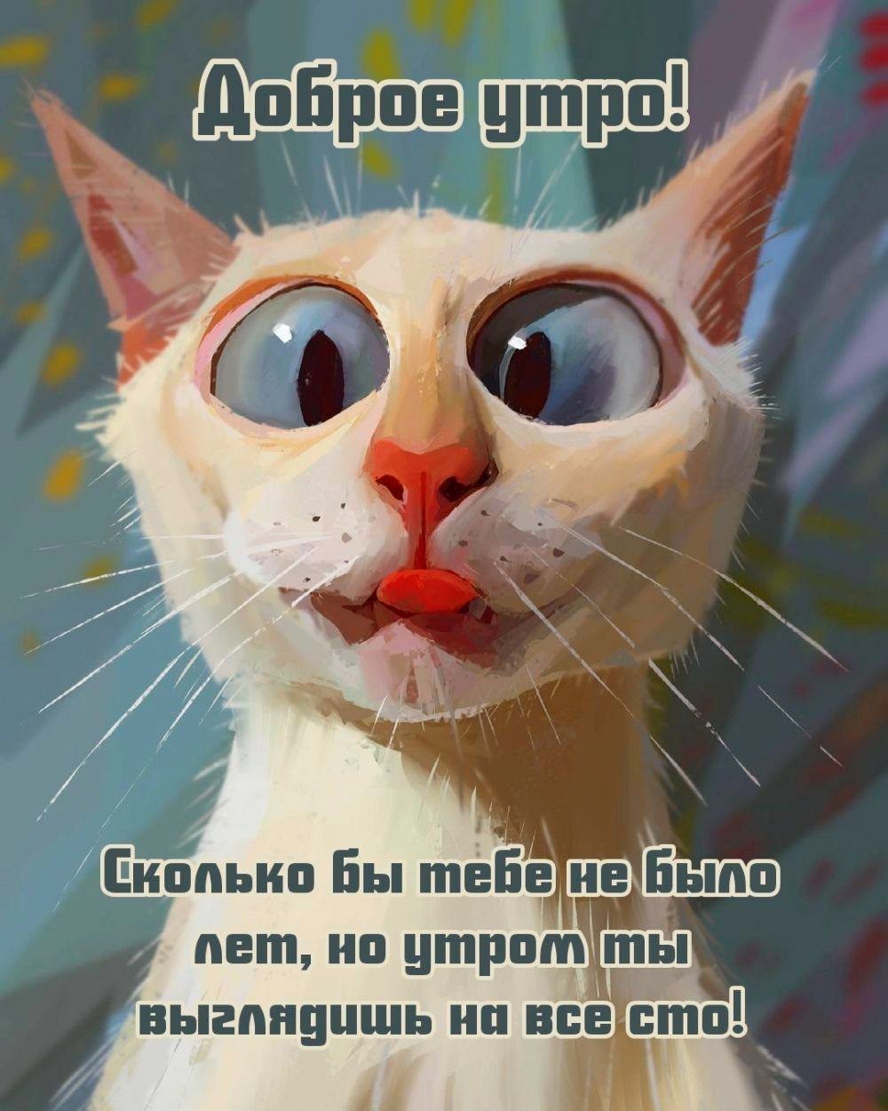 Косоглазый белый котик