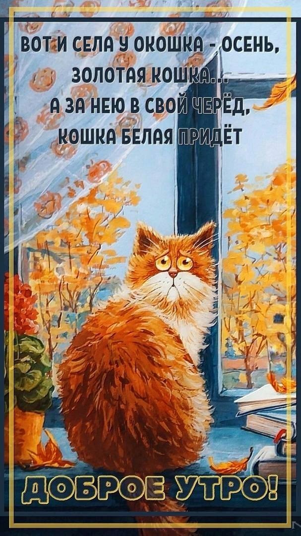 Открытка с котом про осень Рыжий кот на окне