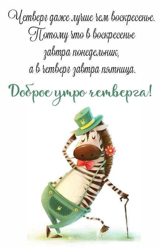 Зебра в зеленой шляпе