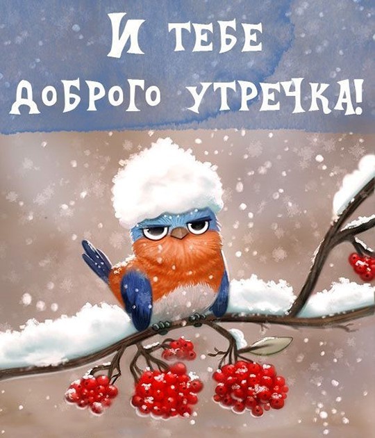 Птичка на снежной рябине