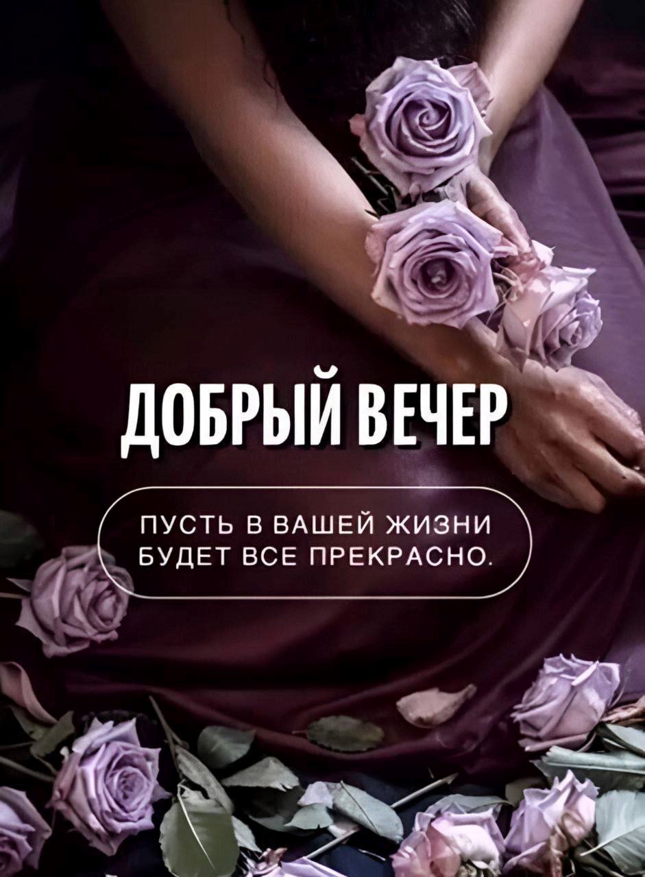 Открытка добрый вечер с розами Сиреневые розы в женских руках