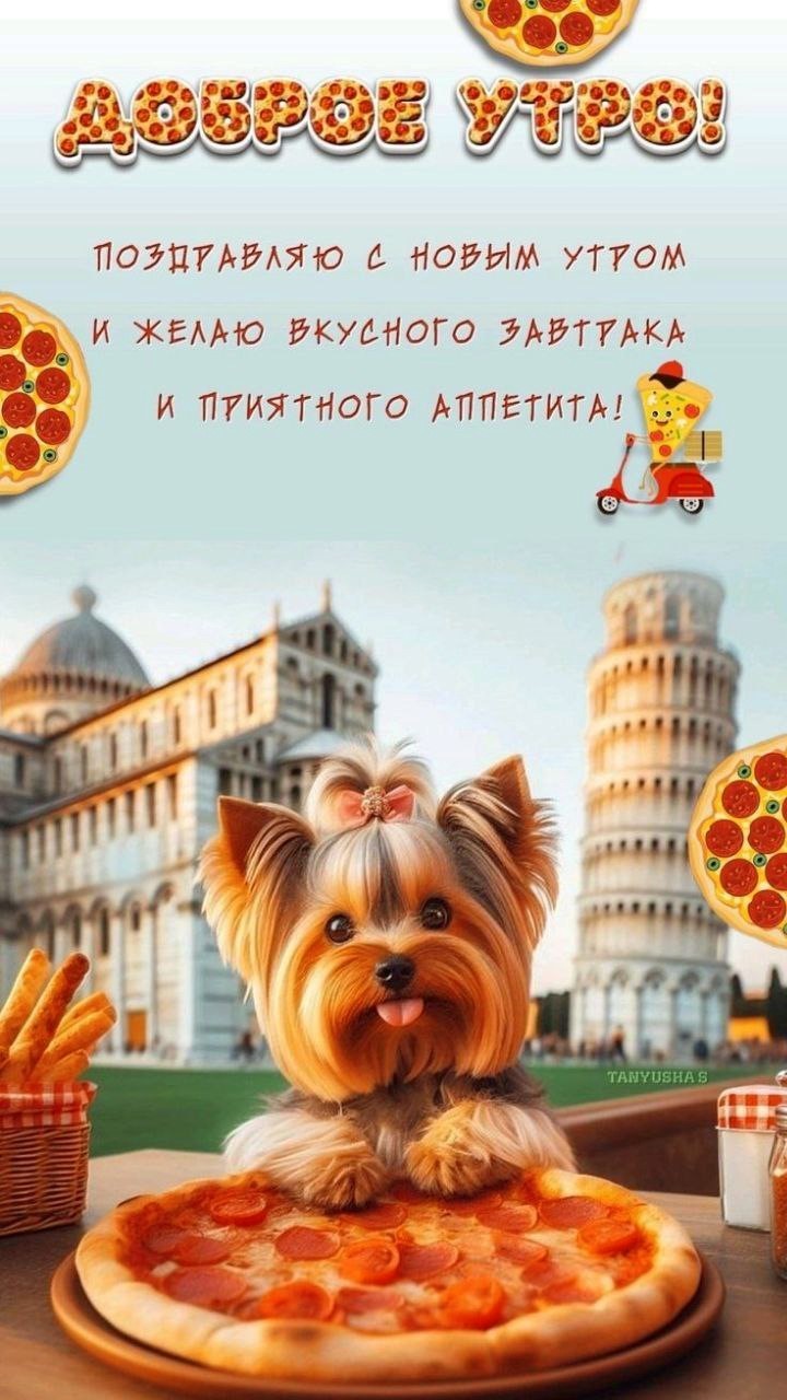 Собака с пиццей