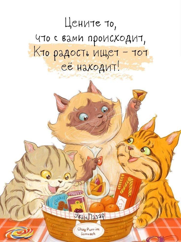 Картинка Цените то, что с вами происходим Три кота